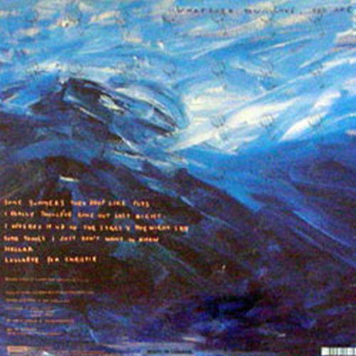 Whatever You Love, You Are | Mint (M) Mint (M) Get Vinyls