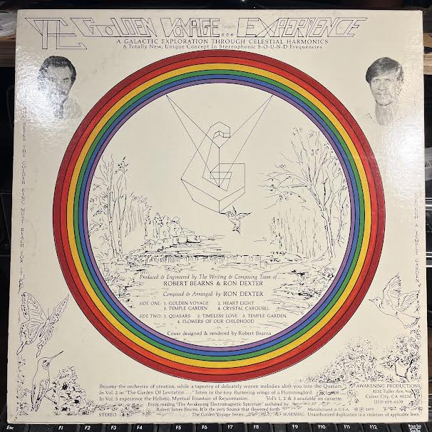 The Golden Voyage Vol. One (VINYL) | Near Mint (NM) Near Mint (NM) Get Vinyls