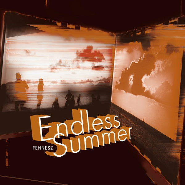 Endless Summer (VINYL) | Mint (M) Mint (M) Get Vinyl