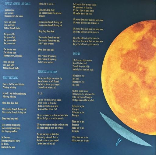 Variola Vera | Mint (M) Mint (M) Get Vinyls