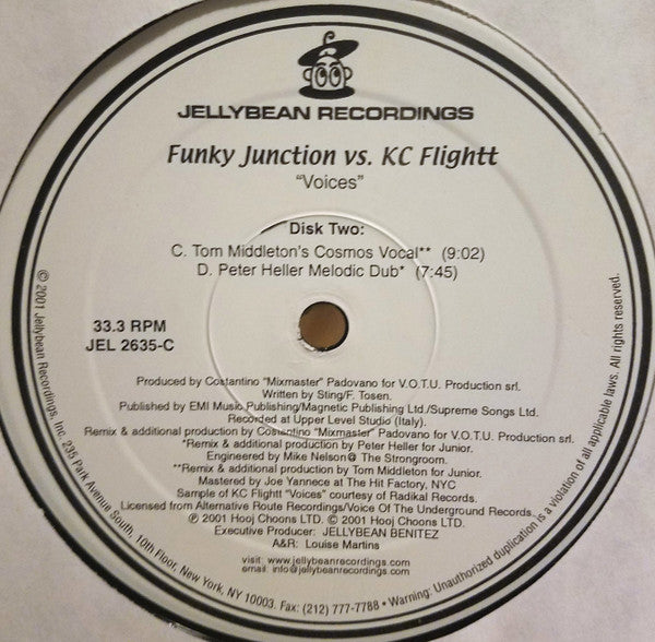 Voices | Excellent (EX) Excellent (EX) Get Vinyls