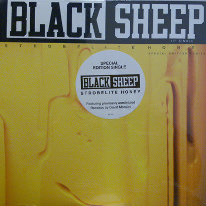 Strobelite Honey (Special Edition Remixes) | Very Good (VG) Generic Get Vinyls