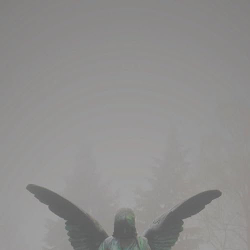 Pity / Piety (White Vinyl W/ Grey Or Gold Splatter) | Get Vinyl