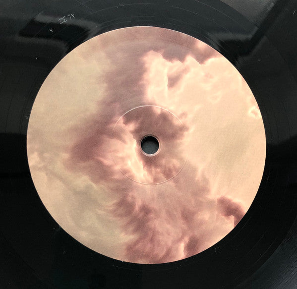 Hold Me To The Light | Mint (M) Mint (M) Get Vinyl