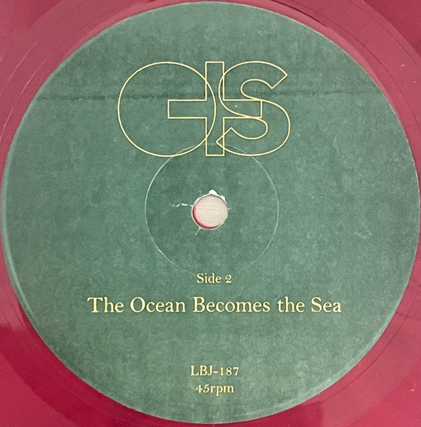 Flowers Turn To Fire | Mint (M) Mint (M) Get Vinyls