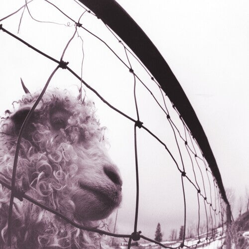 Vs. (Clear Vinyl) | Mint (M) Mint (M) Get Vinyl