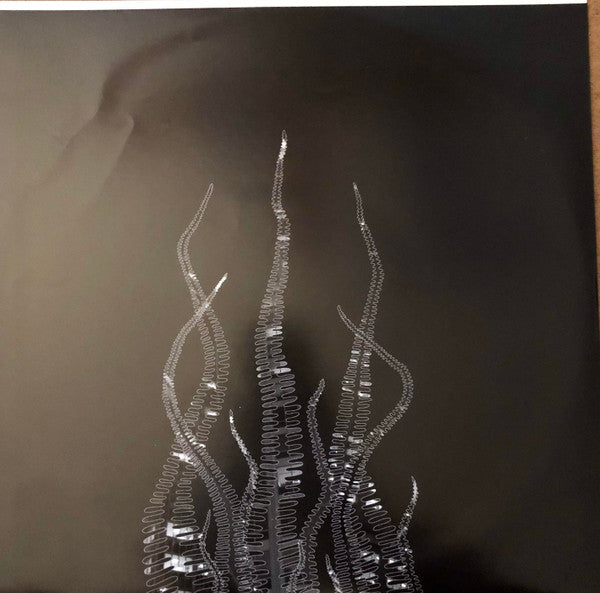 City Of Echoes | Mint (M) Mint (M) Get Vinyl